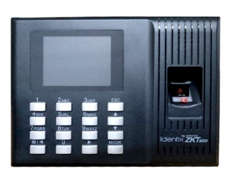 Image after paragraph